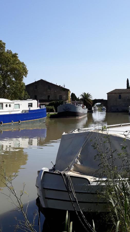 Le Coq Du Nord - Mailhac Gite Et Chambres D'Hotes Esterno foto