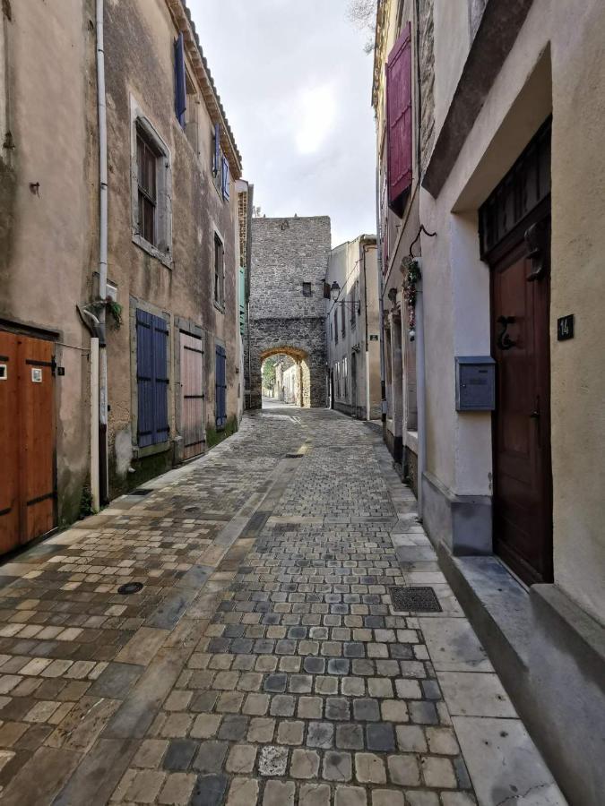 Le Coq Du Nord - Mailhac Gite Et Chambres D'Hotes Esterno foto