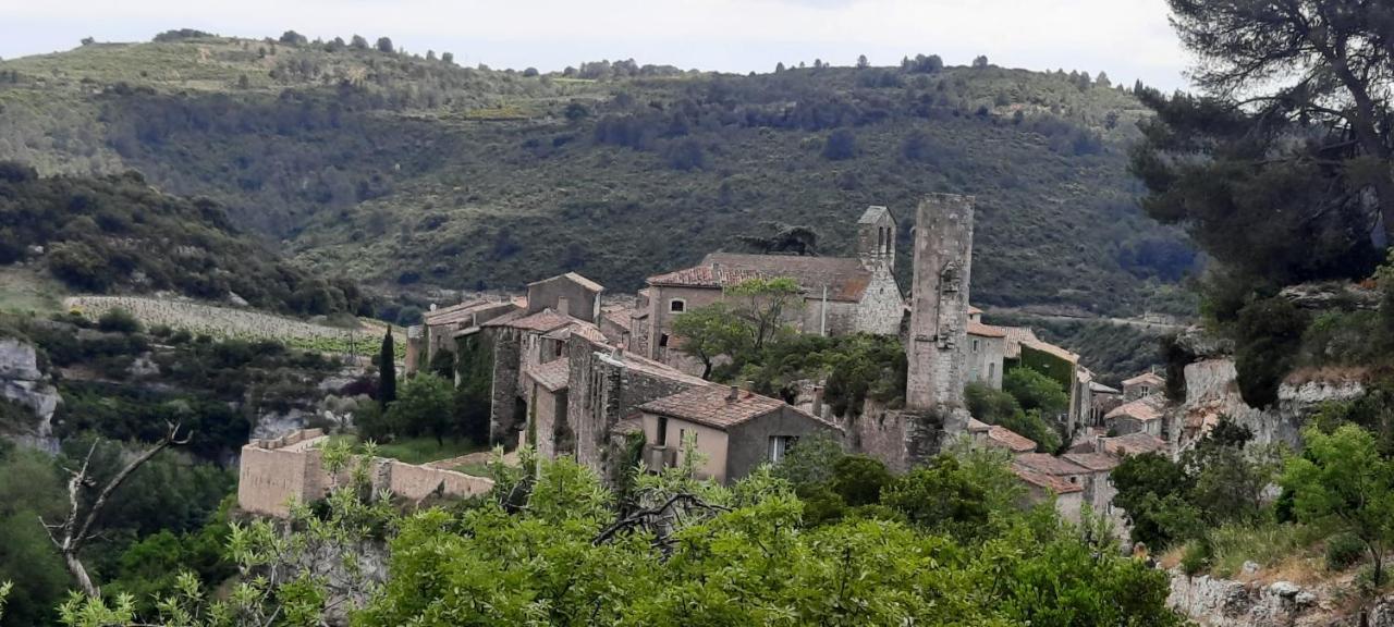 Le Coq Du Nord - Mailhac Gite Et Chambres D'Hotes Esterno foto