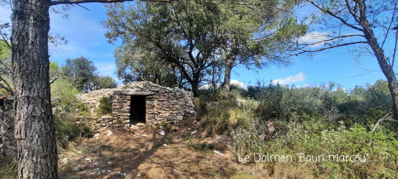 Le Coq Du Nord - Mailhac Gite Et Chambres D'Hotes Esterno foto